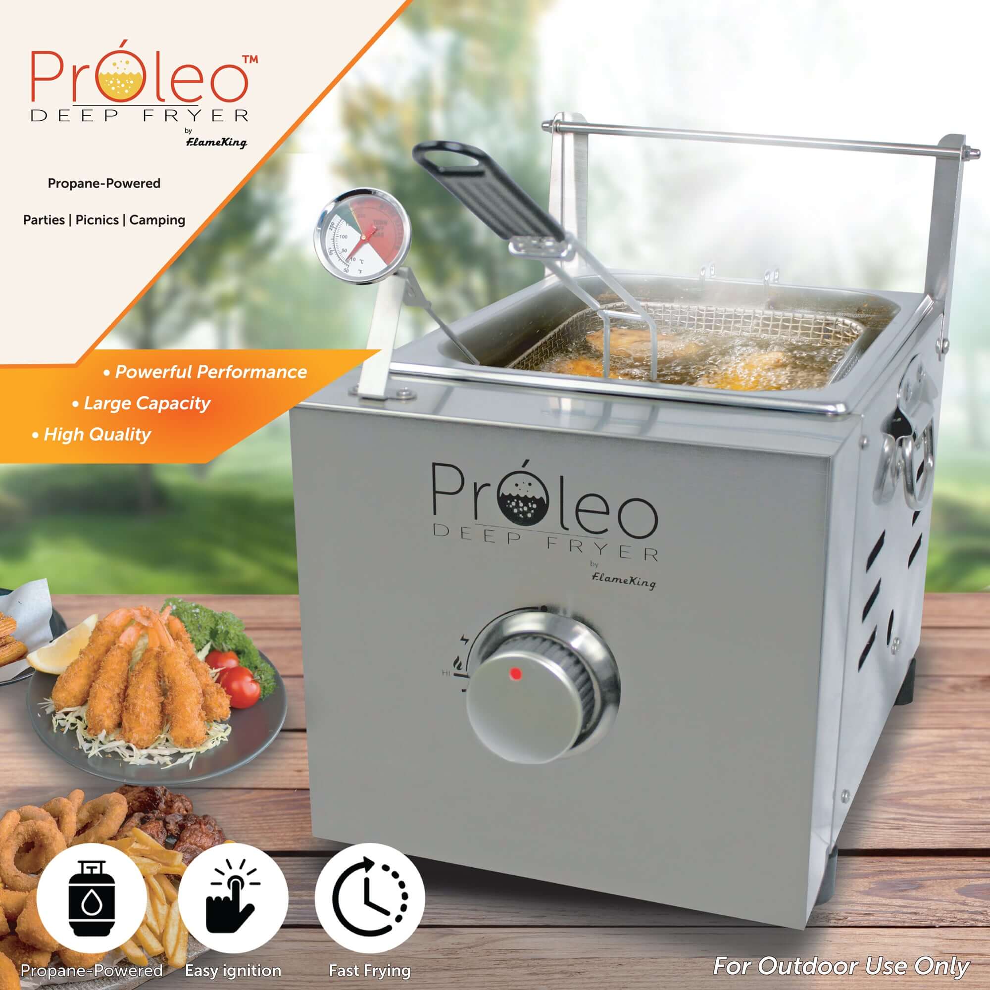 PROLEOdeepfryer_2_1c8a8ba3-a979-4e17-851d-99104a964f26