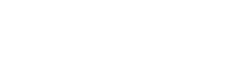 Flame King