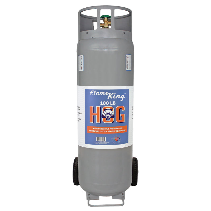 Flame King 100lb Empty Horizontal & Vertical Propane Cylinder with POL & Wheels